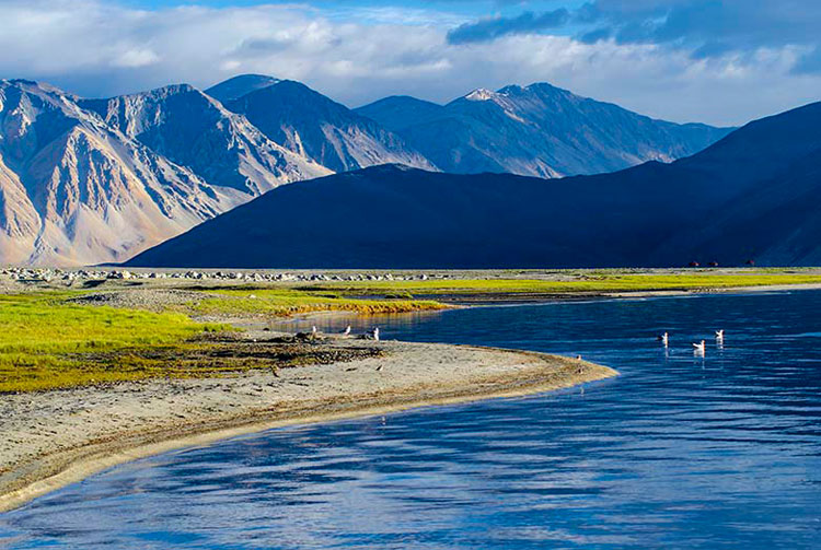 Pangong Lake in Ladakh